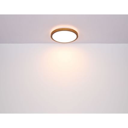 Globo - LED taklampa LED/24W/230V 3000/4500/6000K diameter 42 cm