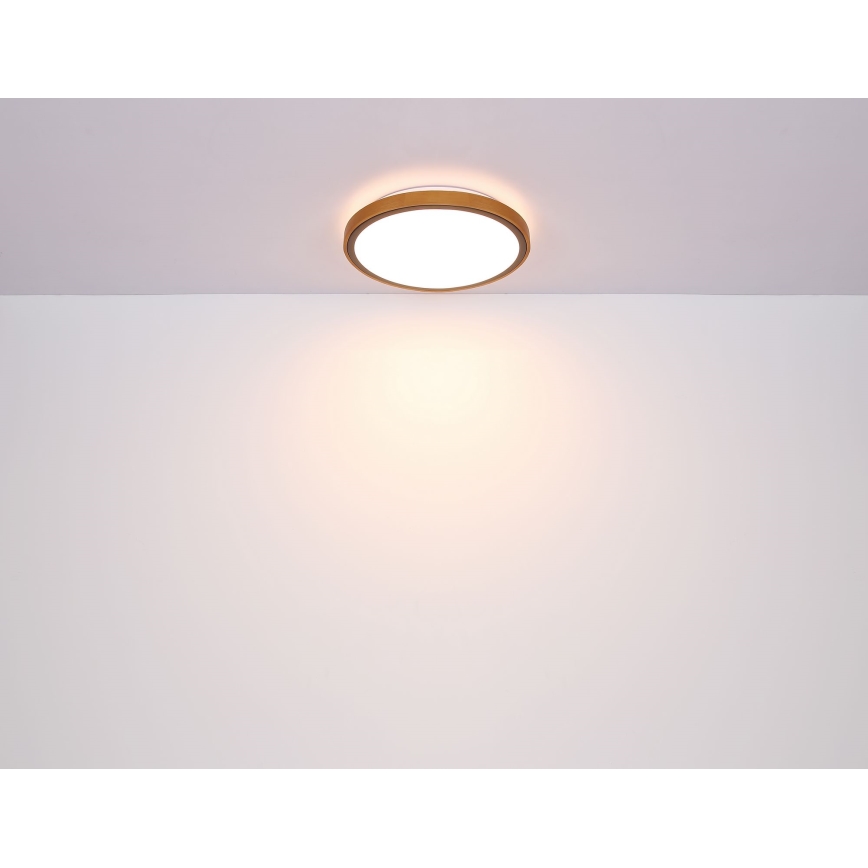 Globo - LED taklampa LED/24W/230V 3000/4500/6000K diameter 42 cm