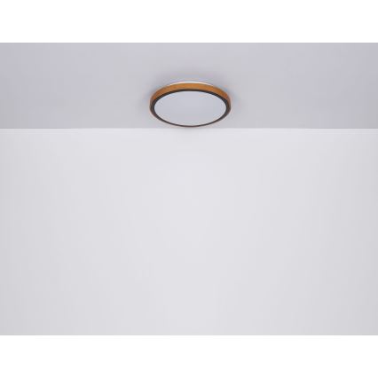 Globo - LED taklampa LED/24W/230V 3000/4500/6000K diameter 42 cm