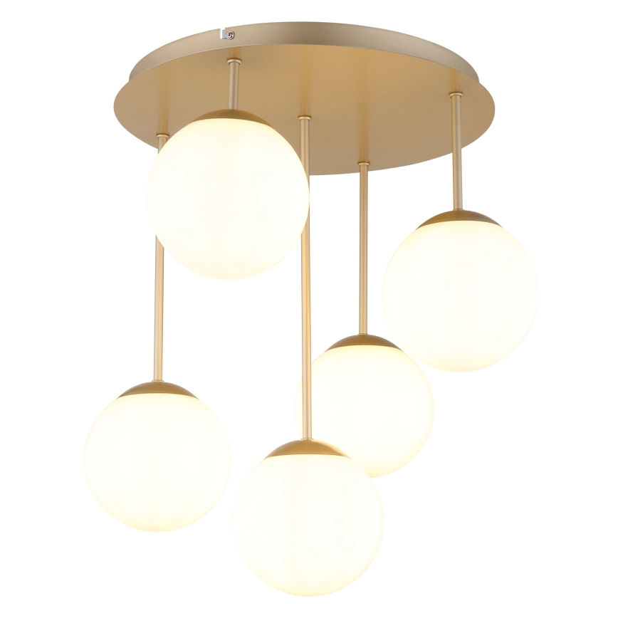 Globo - Takmonterad ljuskrona 5xE14/25W/230V mässing