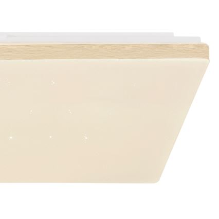 Globo - LED ljusreglerad taklampa  LED/24W/230V Wi-Fi Tuya + Fjärrkontroll