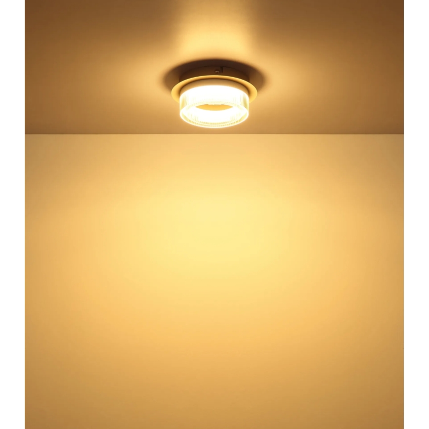 Globo - LED-taklampa LED/8W/230V 3000K Ø 16 cm