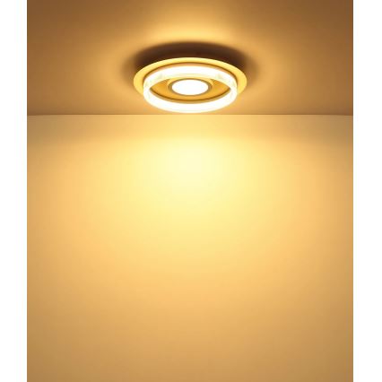 Globo - LED-taklampa 24W/230V 3000K Ø 40 cm