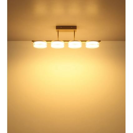Globo - LED ytmonterad plafond LED/24W/230V 3000K