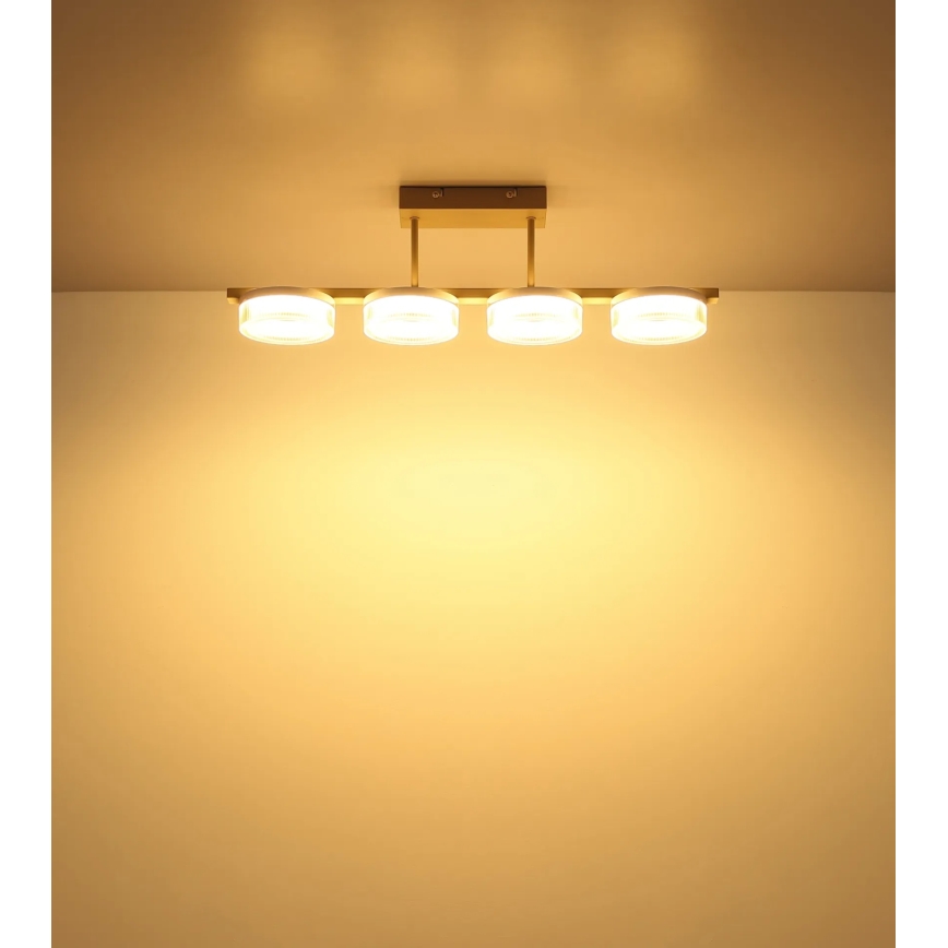 Globo - LED ytmonterad plafond LED/24W/230V 3000K