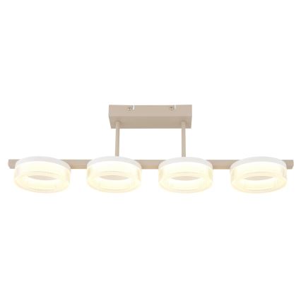 Globo - LED ytmonterad plafond LED/24W/230V 3000K