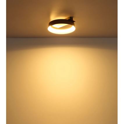 Globo - LED taklampa LED/12W/230V 3000K 26x25 cm