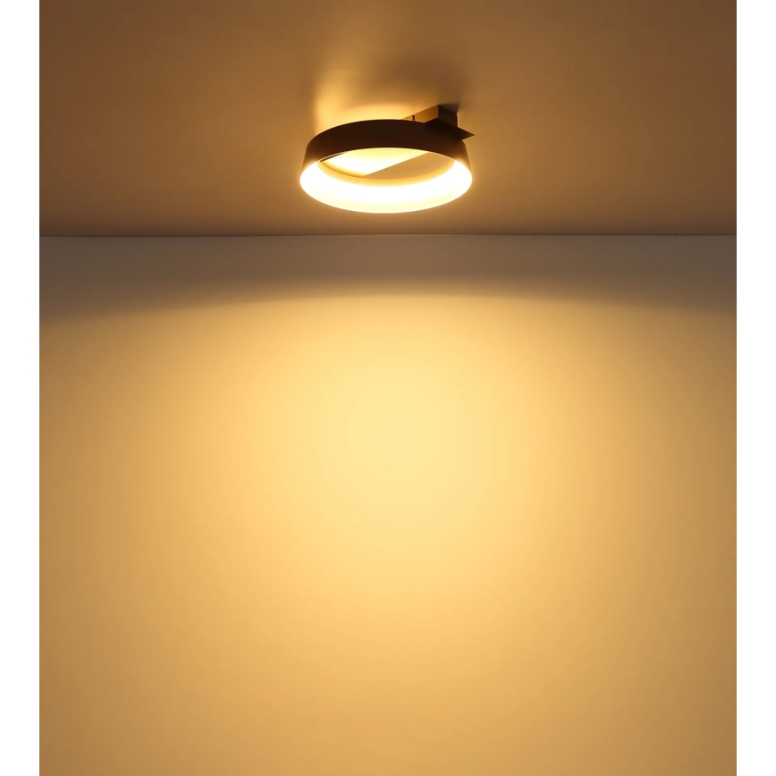 Globo - LED taklampa LED/12W/230V 3000K 26x25 cm