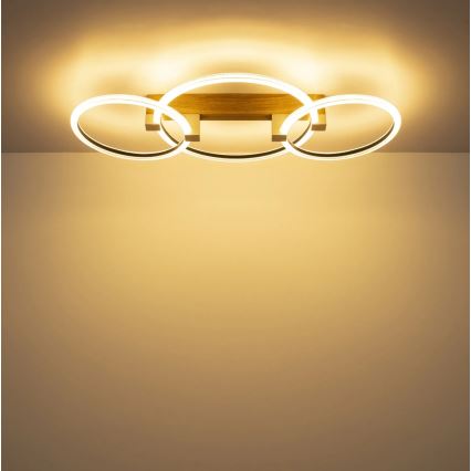 Globo - LED-taklampa LED/40W/230V 3000K 76,1x38 cm brun