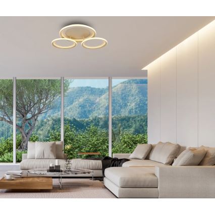 Globo - LED takarmatur LED/40W/230V 3000K 60,5x62,5 cm