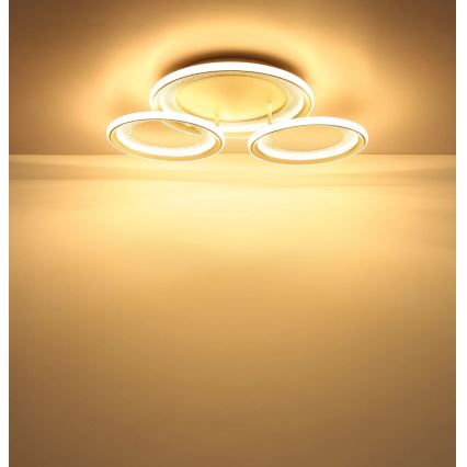 Globo - LED takarmatur LED/40W/230V 3000K 60,5x62,5 cm