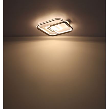 Globo 48459-48 - Dimbart LED-takarmatur ANI LED/48W/230V 2700-6000K 48x52 cm + fjärrkontroll