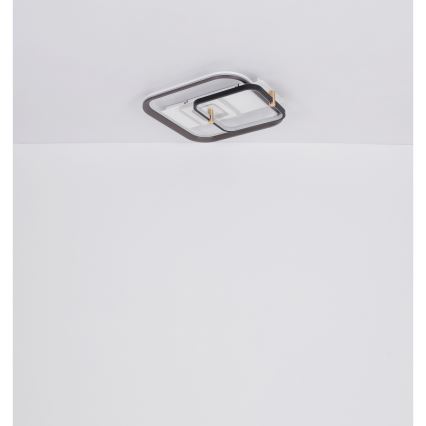 Globo 48459-48 - Dimbart LED-takarmatur ANI LED/48W/230V 2700-6000K 48x52 cm + fjärrkontroll