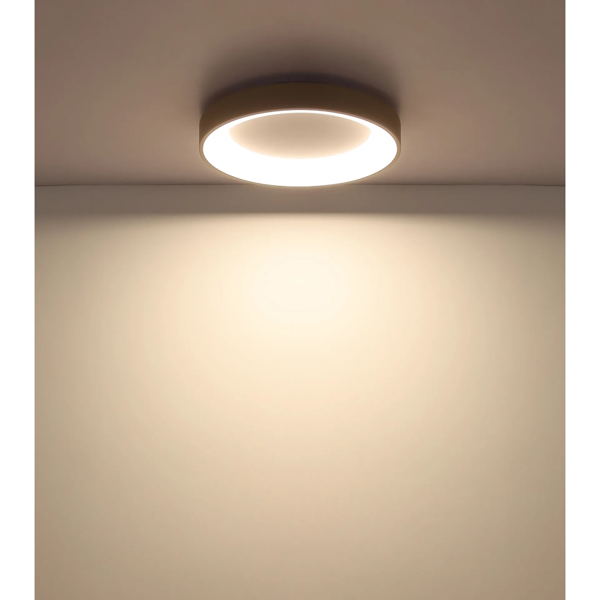 Globo - Dimbart LED-takarmatur LED/48W/230V 2700-6000K Ø 50 cm + fjärrkontroll