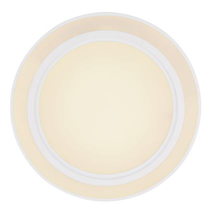 Globo 48549-35 - LED RGB Dimbar belysning DAHLA LED/35W/230V + LED/15W + Fjärrkontroll