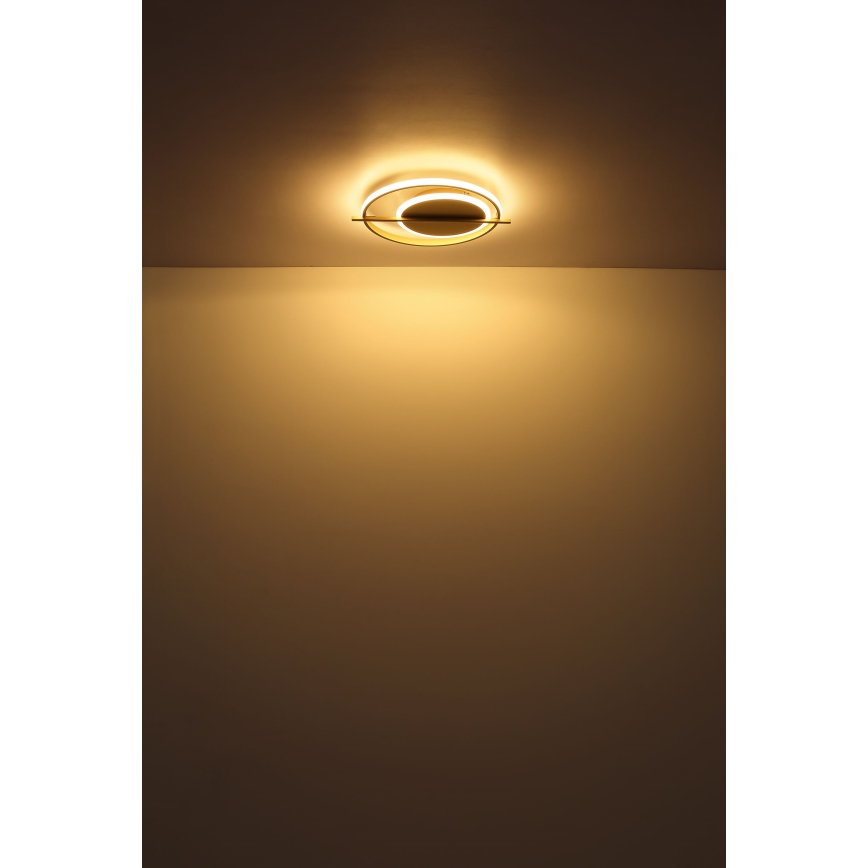 Globo - LED taklampa LED/36W/230V