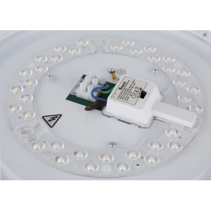 Globo - LED-taklampa LED/24W/230V 3000/4000/6000K Ø 38 cm vit/mattkrom