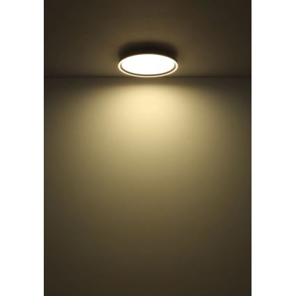 Globo - LED dimbar taklampa LED/38W/230V Ø 40 cm 2700-6000K + fjärrkontroll