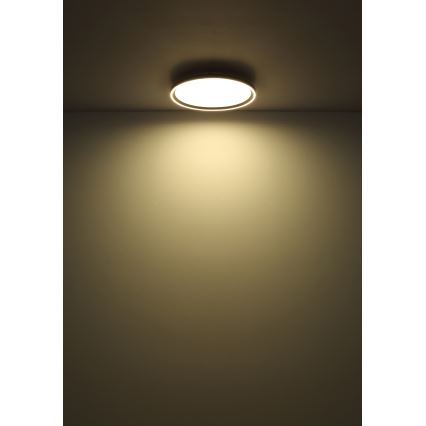 Globo - LED Dimbar taklampa LED/48W/230V diameter 50 cm 2700-6000K + fjärrkontroll