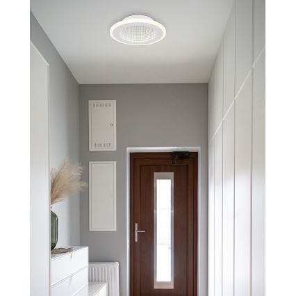 Globo - LED taklampa LED/12W/230V 4000K