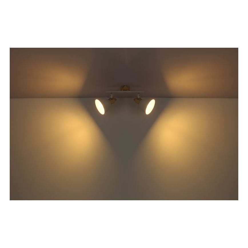 Globo 54018-2 - Spotlight WIHO 2xE27/40W/230V
