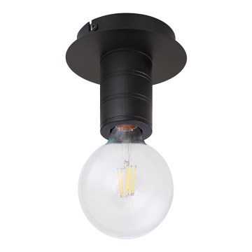 Globo 54030-1D - Takbelysning HERMINE 1xE27/60W/230V