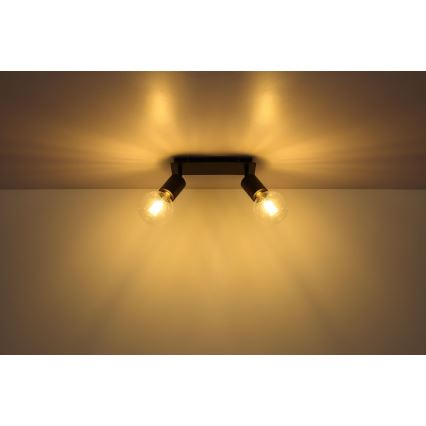 Globo 54030-2 - Spotlight HERMINE 2xE27/60W/230V