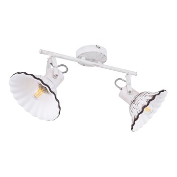 Globo 54050-2 - Spotlight JOWITA 2xE27/40W/230V