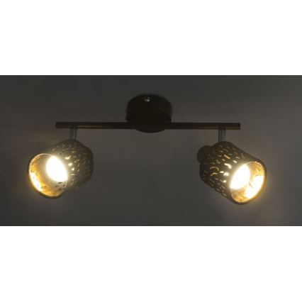 Globo 54121-2 - Spotlight TROY 2xE14/8W/230V