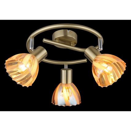 Globo - Spotlight 3xE14/40W/230V guld