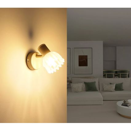 Globo - Väggspott 1xE14/40W/230V