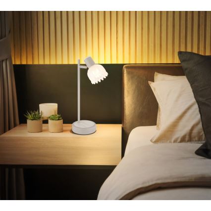 Globo - Bordslampa 1xE14/40W/230V