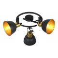 Globo 54655-3 - Spotlight FILLO 3xE14/25W/230V