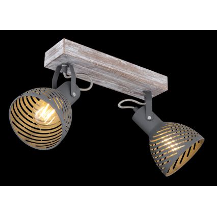 Globo - Spotlight  2xE27/40W/230V