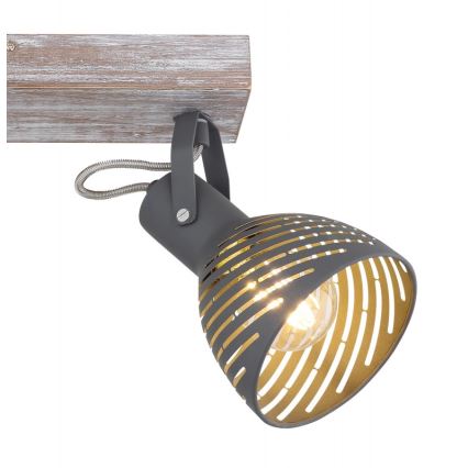 Globo - Spotlight  2xE27/40W/230V