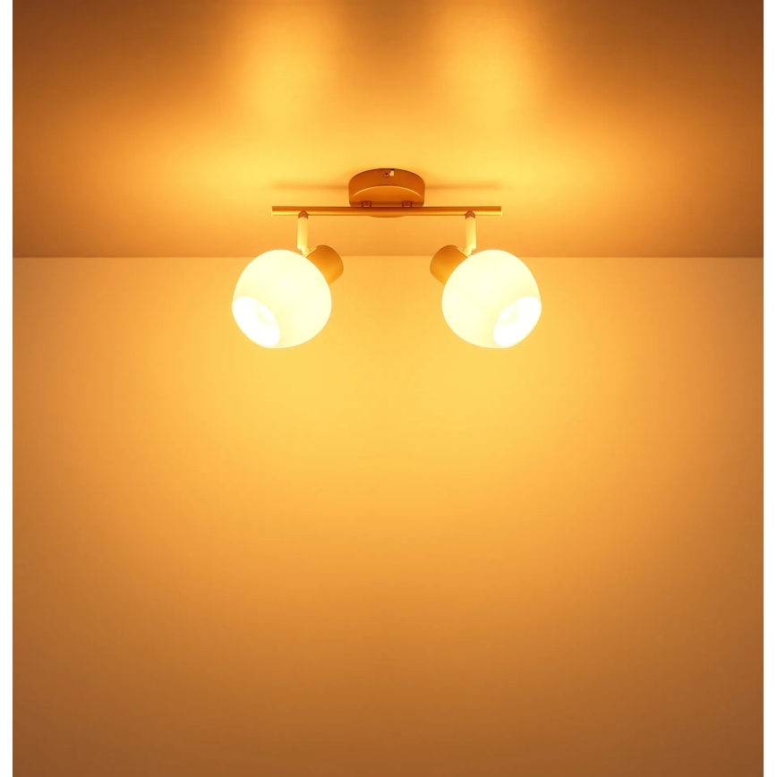 Globo - Spotlampa 2xE27/40W/230V
