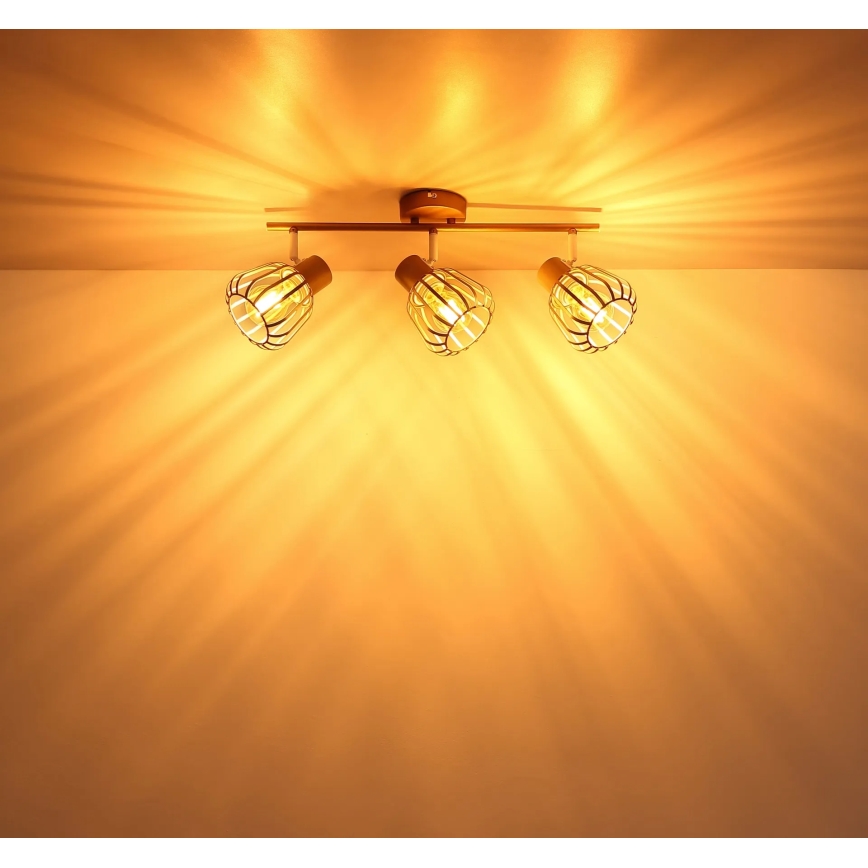 Globo - Spottlampa 3xE27/40W/230V