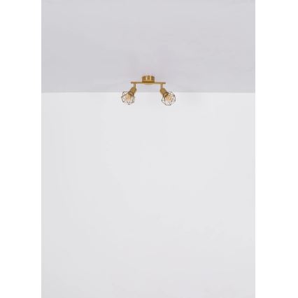 Globo - Spotlight 2xE14/40W/230V guld