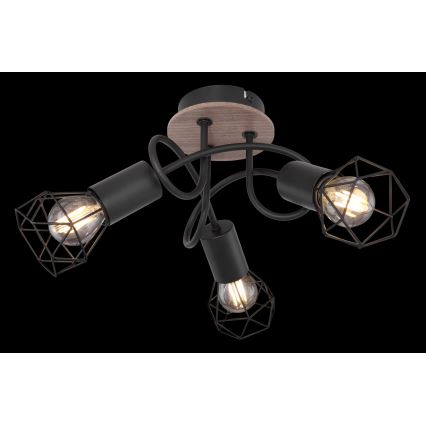 Globo - Fastsatt Ljuskrona  3xE14/40W/230V