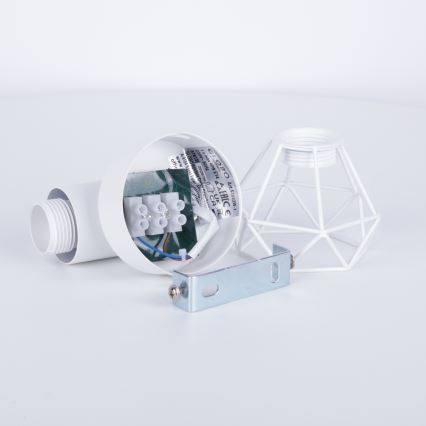 Globo 54802W-1 - Väggspotlight XARA 1xE14/40W/230V