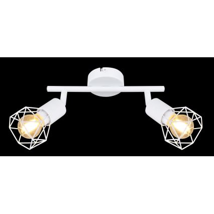 Globo 54802W-2 - Spotlight XARA 2xE14/40W/230V
