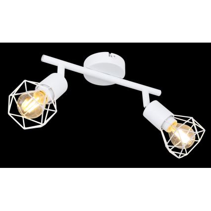 Globo 54802W-2 - Spotlight XARA 2xE14/40W/230V