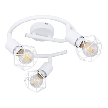 Globo 54802W-3 - Spotlight XARA 3xE14/40W/230V