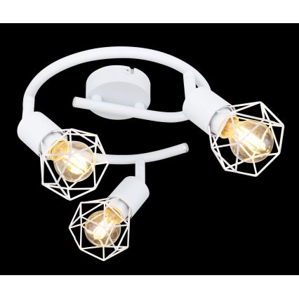 Globo 54802W-3 - Spotlight XARA 3xE14/40W/230V