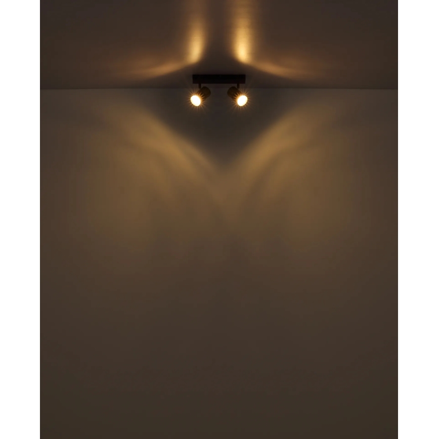 Globo - Spotlight 2xGU10/25W/230V vit/matt krom