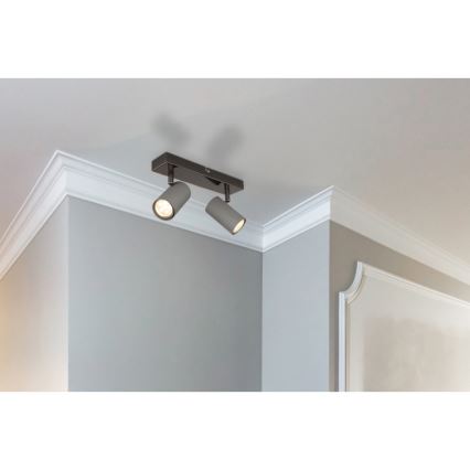 Globo - Spotlight 2xGU10/25W/230V