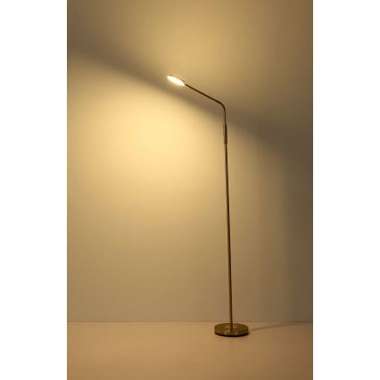 Globo - LED-dimmbar beröringsstyrd golvlampa LED/6,5W/230V 2700/3350/4000K mässing