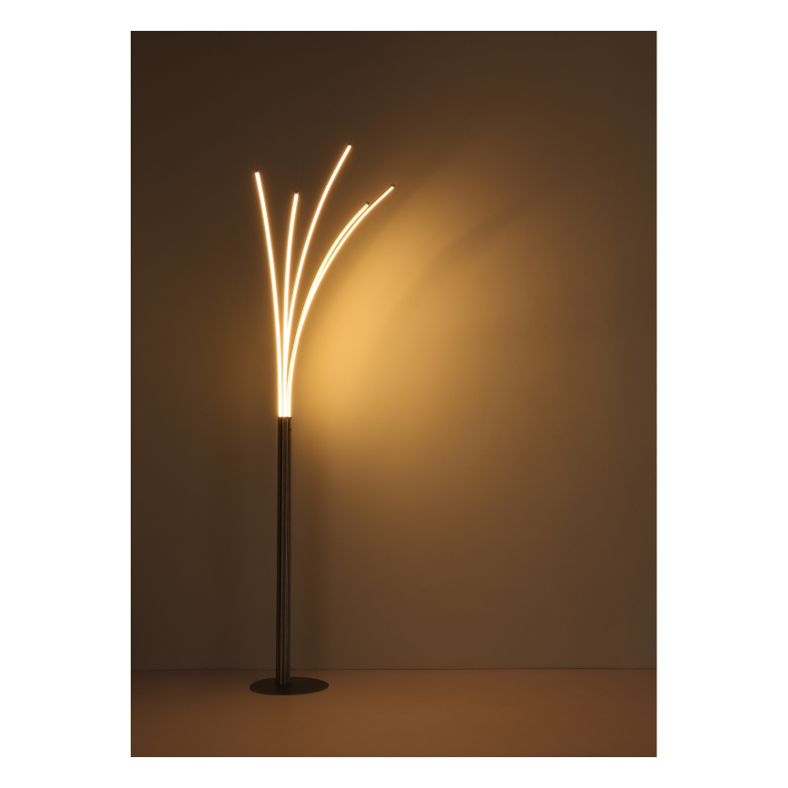 Globo - dimbar beröringsstyrd golvlampa LED/36W/230V