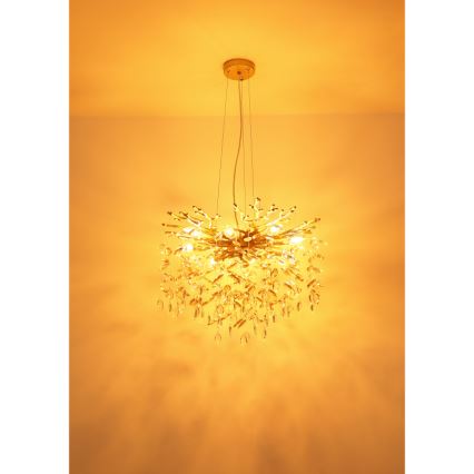 Globo - Taklampa på vajer 8xE14/40W/230V guld