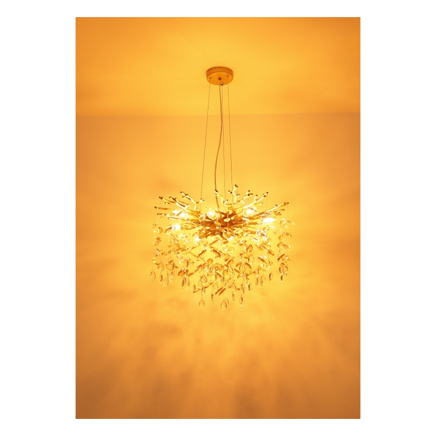 Globo - Taklampa på vajer 8xE14/40W/230V guld